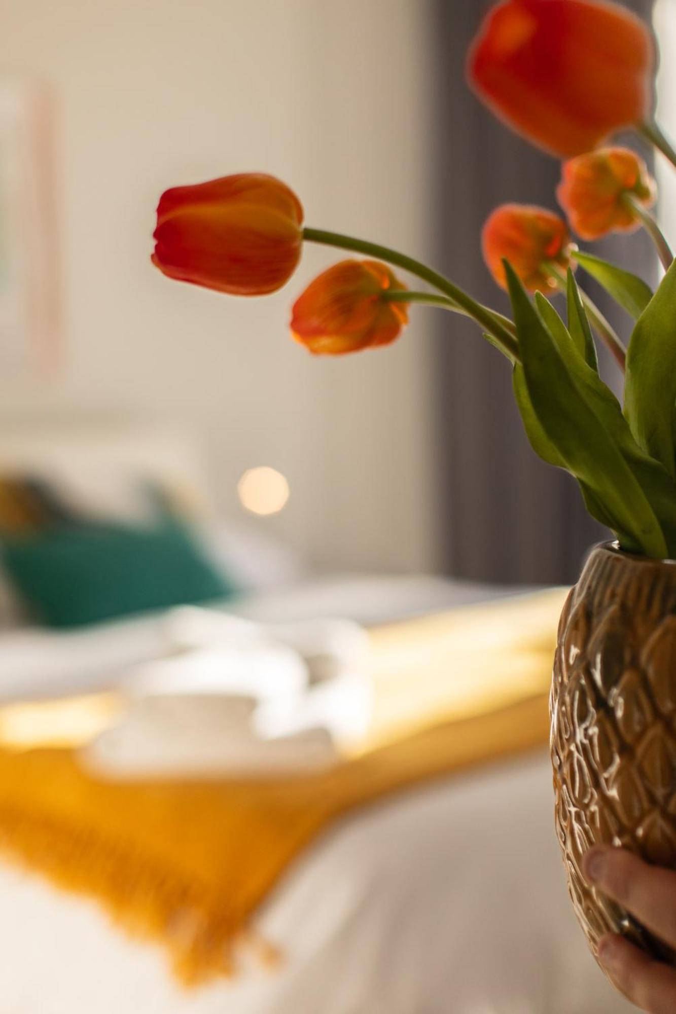 Veigas De Iria - Apartamento Turistico Vut Падрон Екстер'єр фото
